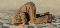 Head in Sand