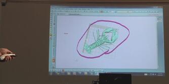 Interactive Projectors Replace Smart Boards (Video)
