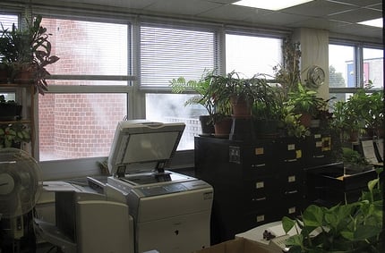 Network MFP Scanning Breaks Due to Office Plants