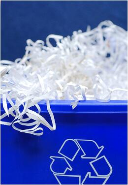 Shredded Paper Records