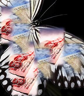Canadian Dollars On Wings