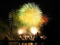 New Year Fireworks.jpg