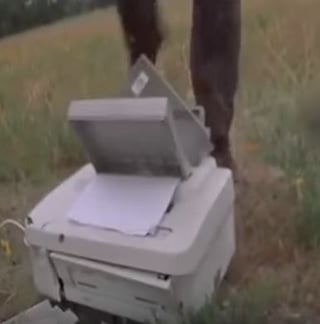 Office Space Printer Destroyed.jpg